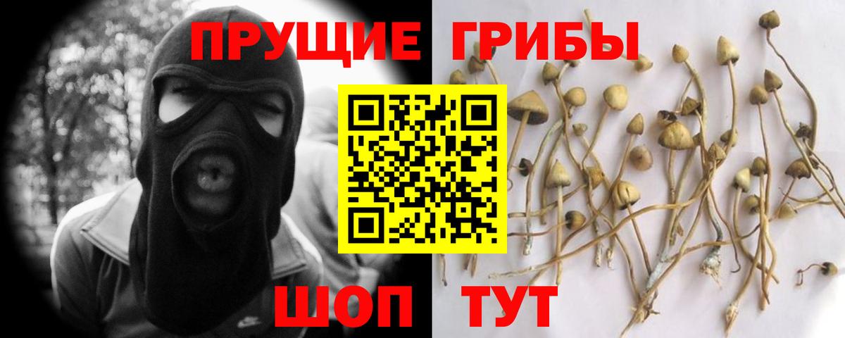 Морозовск  Галлюциногенные грибы мицелий  Вход с VPN  цена наркотик  Псилоцибиновые грибы прущие грибы 